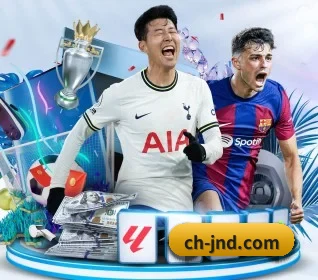 五大服务分区,信息按项目分类