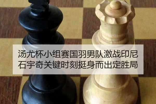 tang-you-bei-xiao-zu-sai-guo-yu-nan-dui-ji-zhan-yin-ni-shi-yu-qi-guan-jian-shi-ke-ting-shen-er-chu-ding-sheng-ju-2-402.jpg