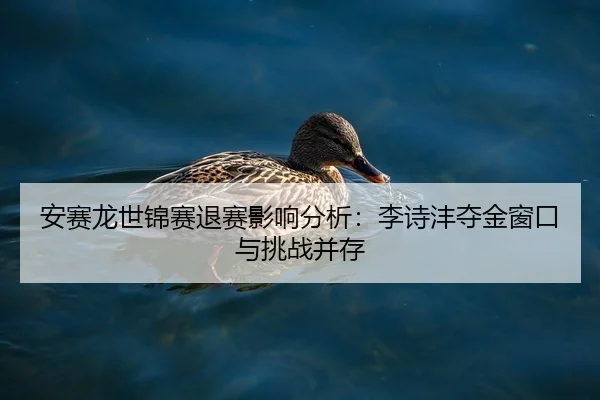 an-sai-long-shi-jin-sai-tui-sai-ying-xiang-fen-xi-li-shi-feng-duo-jin-chuang-kou-yu-tiao-zhan-bing-cun-2-651.jpg